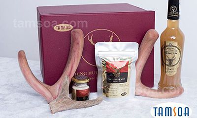 địa chỉ bán nhung hươu ở hà nội