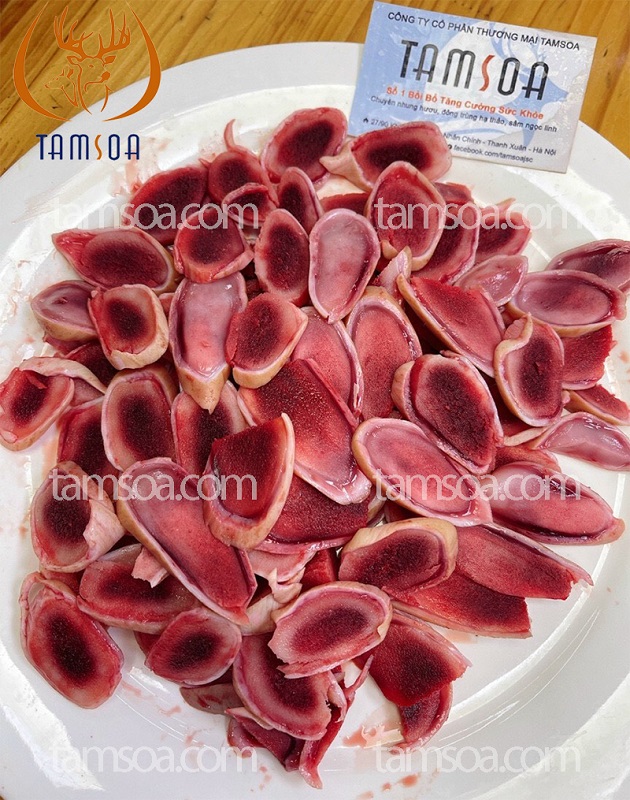 Như thế nào là nhung hươu tươi loại tốt? Như thế nào là nhung hươu tươi loại tốt?