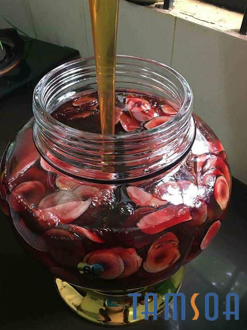 cách ngâm nhung hươu mật ong