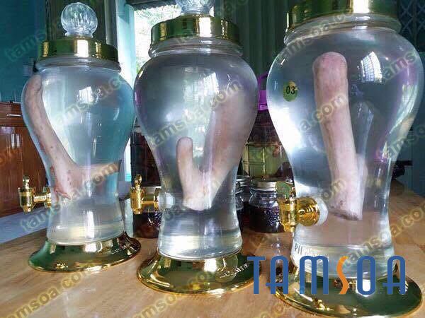 nhung hươu tươi Hương Sơn