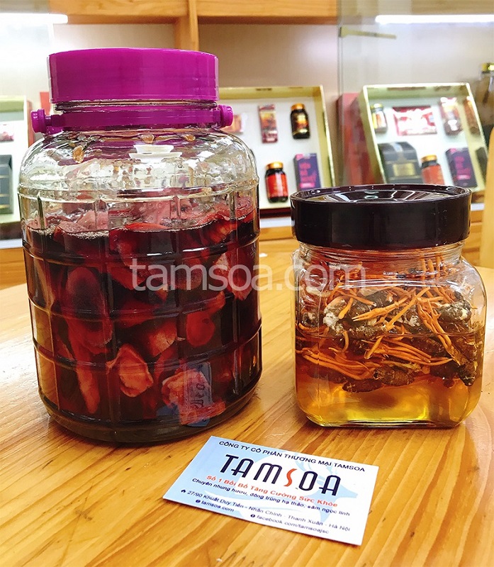 Bình Dương mua nhung hươu ở đâu tốt