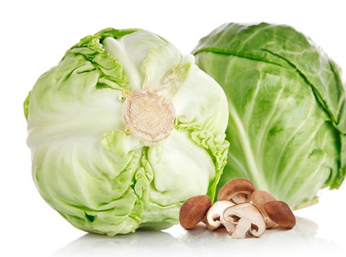 cách chế biến nhung hươu tăng cường sinh lý
