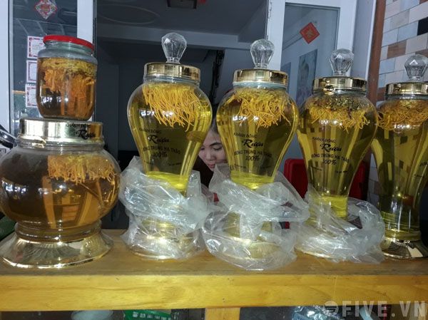 mua đông trùng hạ thảo ở đâu tốt