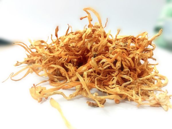mua đông trùng hạ thảo ở đâu tốt