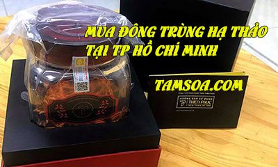 địa chỉ mua đông trùng hạ thảo tại tphcm