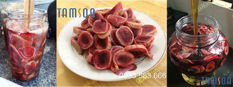nhung hươu ngâm rượu tamsoa