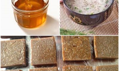 cách sử dụng cao ban long