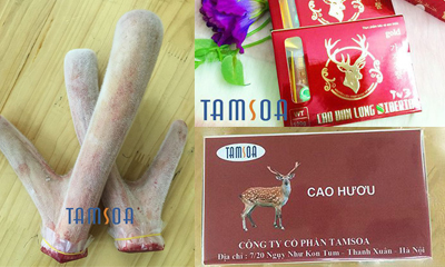 nhung hươu cao hươu cao ban long