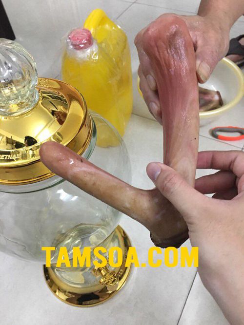 Nhung hươu ngâm rượu, cách ngâm nhung hươu với rượu