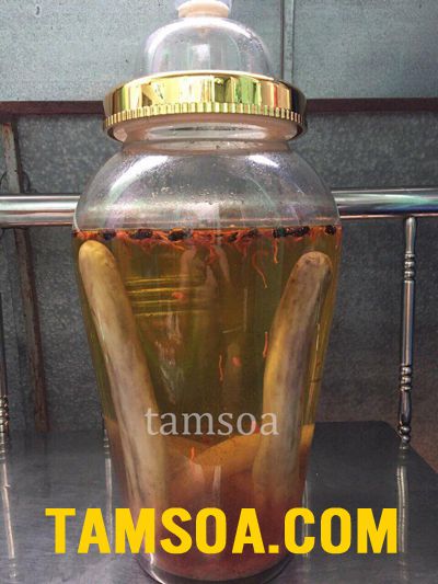 Nhung hươu ngâm rượu, cách ngâm nhung hươu với rượu