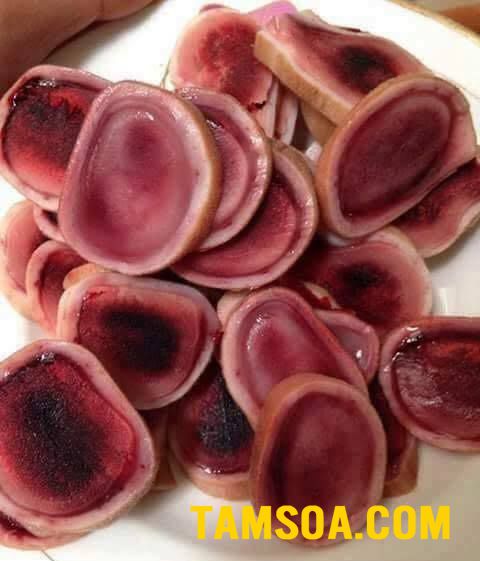 mua nhung hươu ở đâu tốt địa chỉ bán nhung hươu