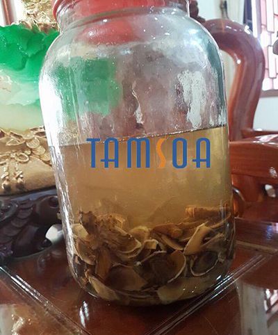 Nhung hươu ngâm rượu, cách ngâm nhung hươu với rượu