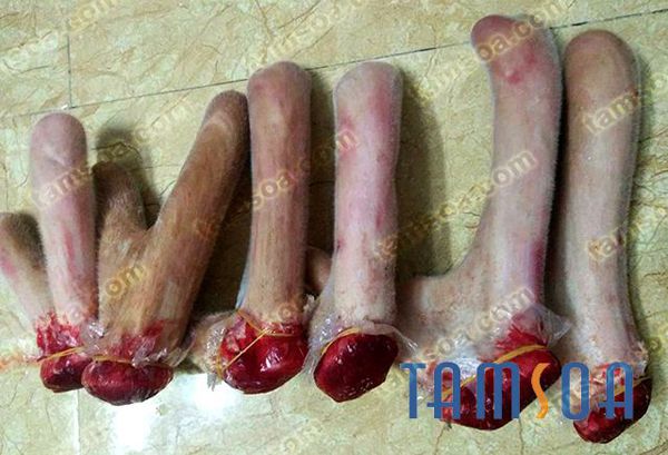 Tác dụng của nhung hươu ngâm mật ong và cách dùng
