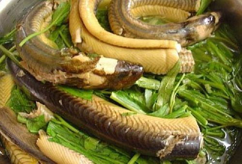 Yếu sinh lý nam nên ăn gì, chồng yếu sinh lý nên ăn gì để bổ thận, tráng dương?