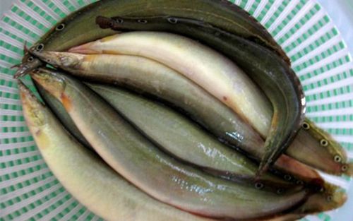 Yếu sinh lý nam nên ăn gì, chồng yếu sinh lý nên ăn gì để bổ thận, tráng dương?