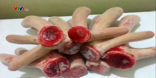 Yếu sinh lý nam nên ăn gì, chồng yếu sinh lý nên ăn gì để bổ thận, tráng dương?