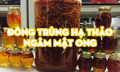 Hướng dẫn chế biến đông trùng hạ thảo ngâm mật ong đúng cách