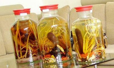 Ngâm rượu đông trùng hạ thảo sâm nhung tăng cường sinh lực nam giới