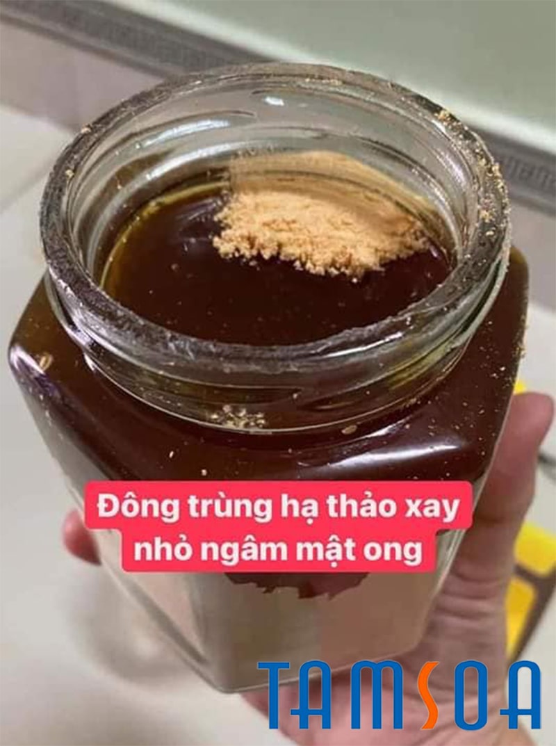 dong trung ha thao tan bot ngam mat ong Đông trùng hạ thảo tán bột ngâm mật ong