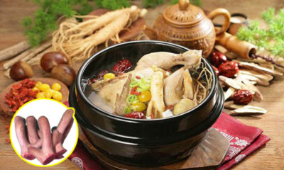 Gà hầm nhung hươu tươi
