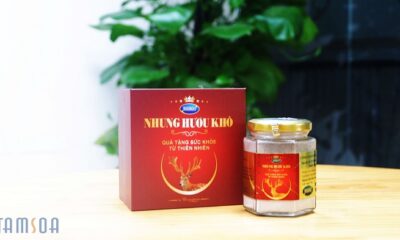 nhung huou kho bot