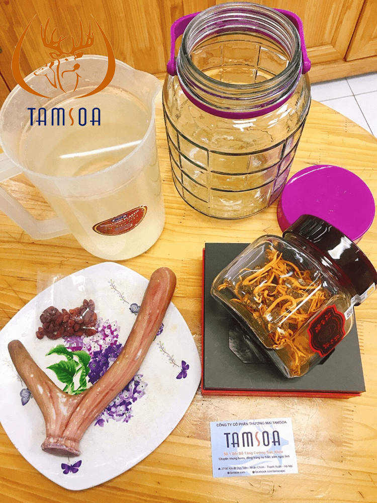 dong trung ha thao ngam ruou cung nhung huou boi bo Đông trùng hạ thảo ngâm rượu cùng nhung hươu đại bổ