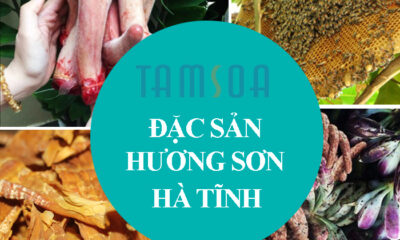 dac san huong son ha tinh