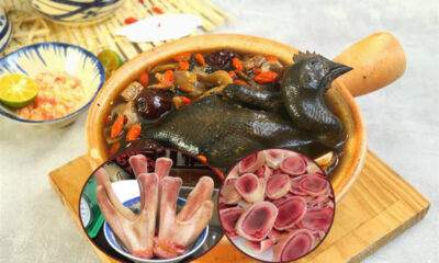 nhung-huou-ham-ga-ac-thuoc-bac
