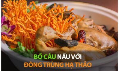 tac-dung-cua-bo-cau-ham-dong-trung-ha-thao
