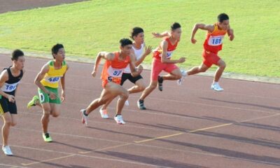 cong-dung-nhung-huou-voi-van-dong-vien