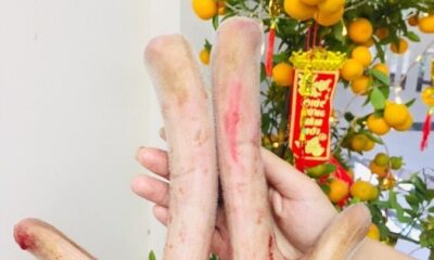 nhung-huou-huong-son