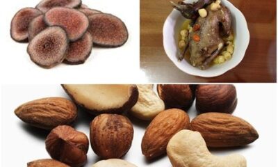 chao-nhung-huou-chim-bo-cau-hanh-nhan