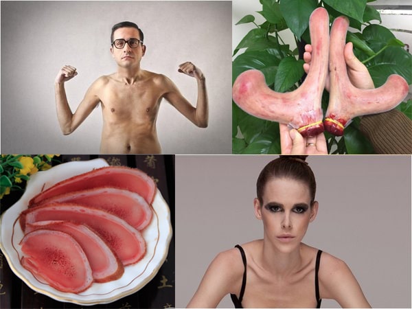 nhung hươu giúp tăng cân