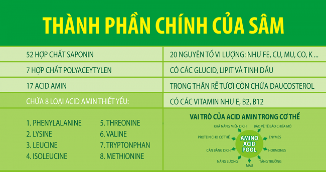 thanh-phan-sam-ngoc-linh-min
