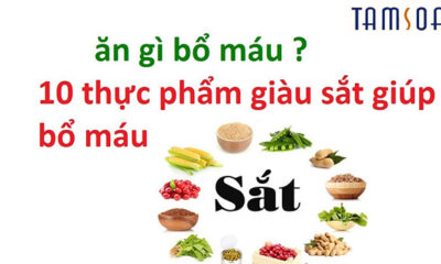 10 thực phẩm bổ máu tốt nhất cho người bệnh