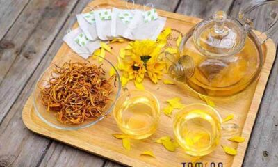 đông trùng hạ thảo