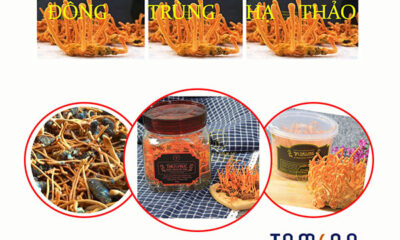 Phân loại Đông trùng hạ thảo Việt Nam