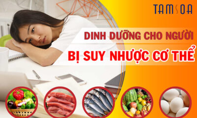 Suy nhược cơ thể nên ăn gì?