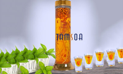Rượu đông trùng hạ thảo ngâm với nhân sâm