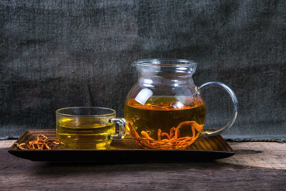 Có nên uống đông trùng hạ thảo