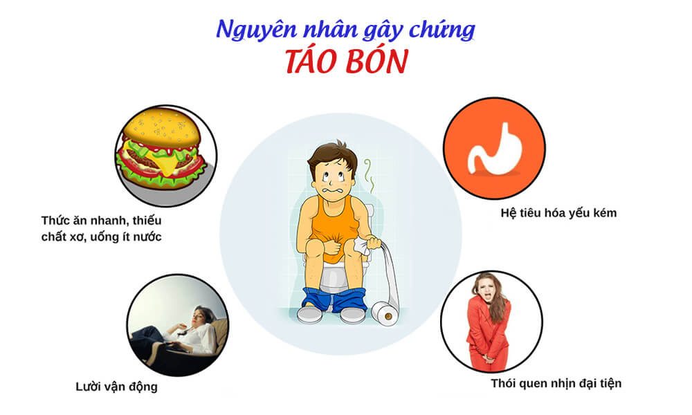 thoi quen an uong sinh hoat hang ngay dan toi tao bon Thói quen ăn uống sinh hoạt hàng ngày dẫn đến táo bón