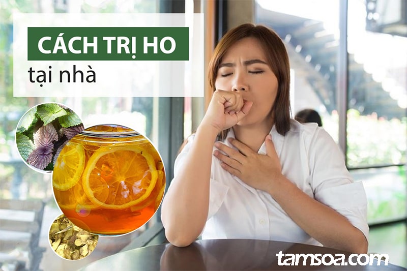 cach tri ho cho f0 hieu qua tai nha cách trị ho cho f0 hieu qua tai nha
