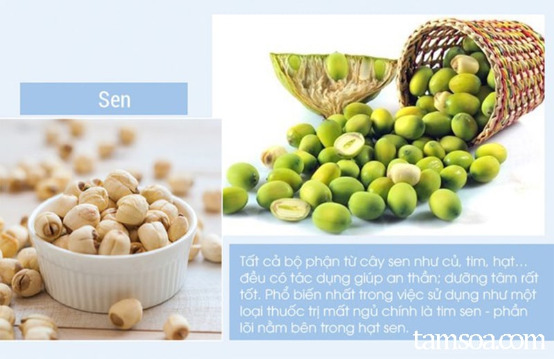 hat sen chua chung mat ngu hạt sen chữa chứng mất ngủ