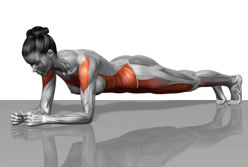 plank giup san chac co giam dau lung cot song Plank giúp săn chắc cơ và giảm đau lưng, cột sống