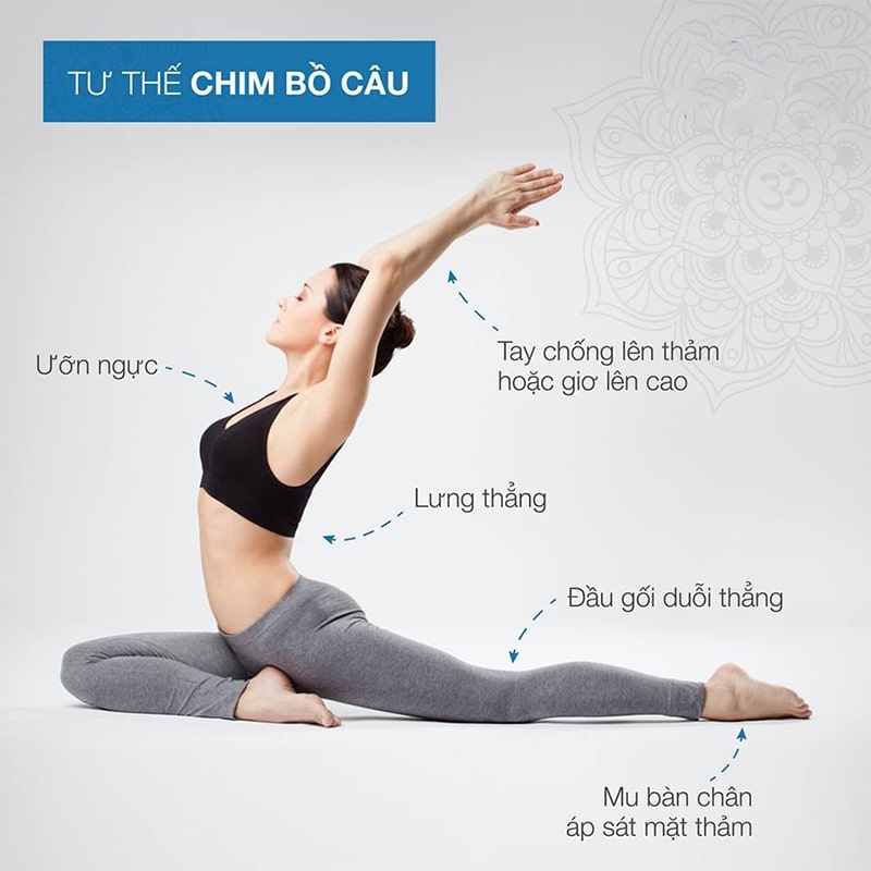 tu the chim bo cau giup giam dau that lung Tư thế chim bồ câu giúp giảm đau thắt lưng