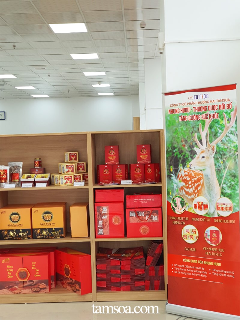nhung huou thuong duoc boi bo tang cuong suc khoe Nhung hươu thượng dược bồi bổ, tăng cường sức khỏe