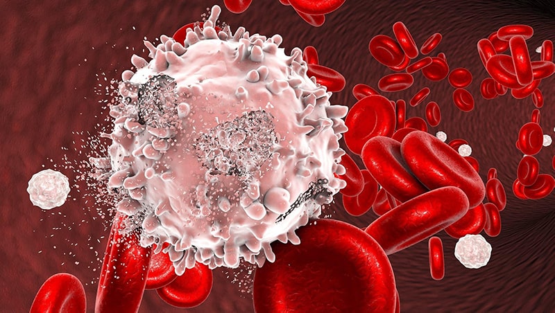 Ung thư gây phá hủy tế bảo nguy cơ thiếu máu cao
