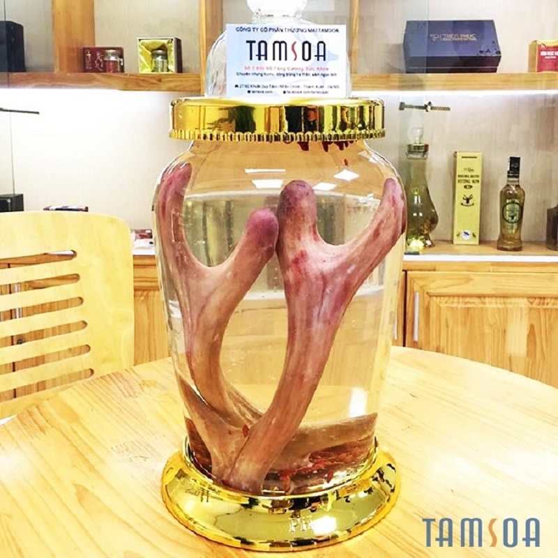 Mua nhung hươu ở đâu uy tín nhất?