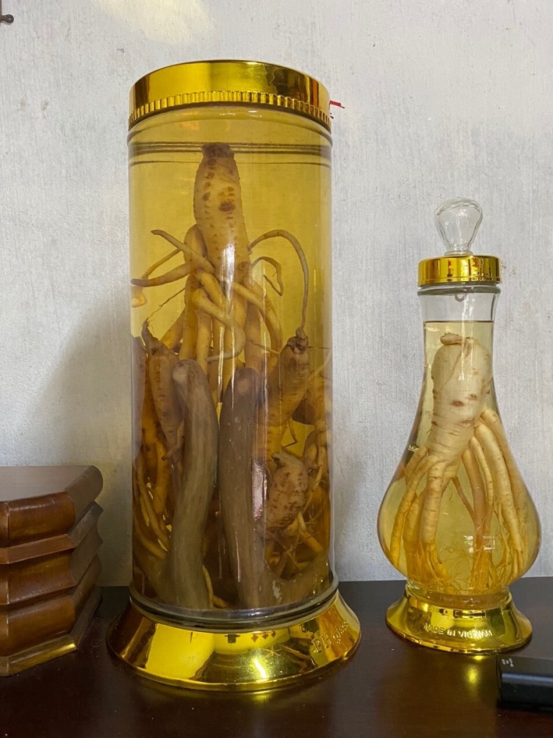 Ngâm rượu với sâm
