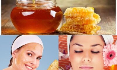 Tác dụng của mật ong đối với da mặt